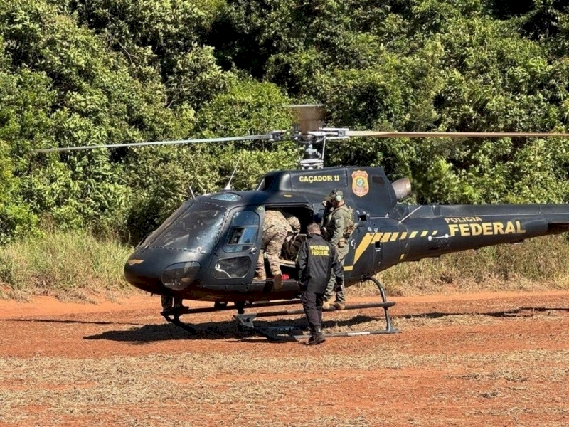 Operação da PF e Senad na fronteira destrói 880 toneladas de maconha