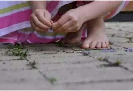 Criança, de 7 anos, conta para mãe que foi estuprada pelo padrasto em MS: ‘O tio mexeu’