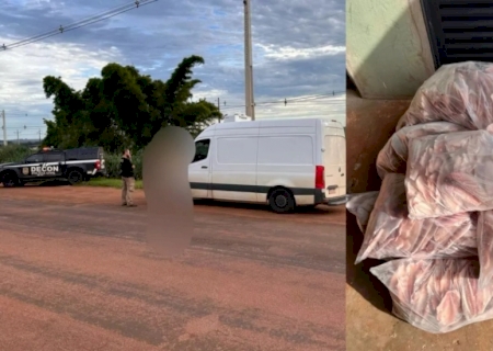 Decon e Iagro apreendem pescado com irregularidades administrativas em van na BR-163 em MS