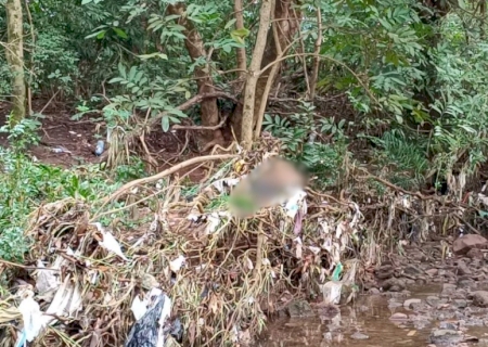 Com lesão na cabeça, corpo de homem é encontrado em córrego de Dourados