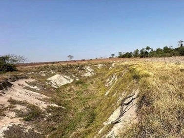 DEODÁPOLIS: MPMS investiga danos ambientais em áreas de proteção
