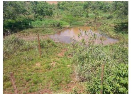 DEODÁPOLIS: MPMS investiga desmatamento ilegal em área de proteção às margens do Córrego das Lavadeiras