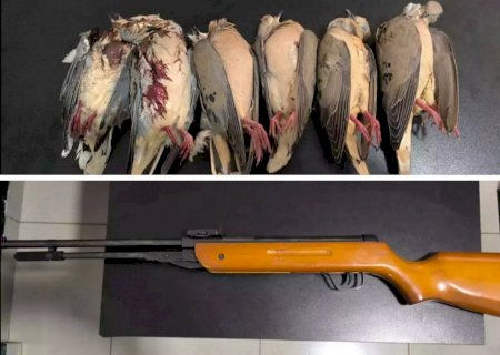 DEODÁPOLIS: Suspeito de abater pombas é preso com espingarda de pressão