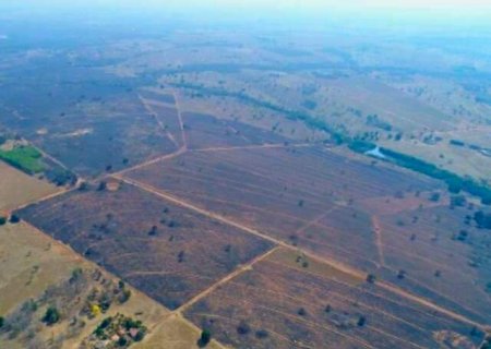Empresa é multada em R$ 3,9 milhões por incêndio que devastou 2 mil hectares