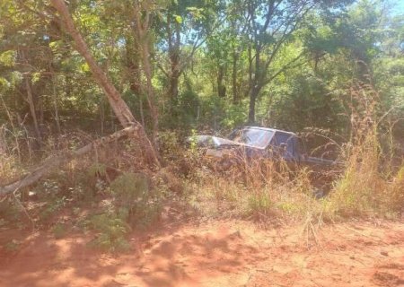 Herança de família: F-1000 é levada de oficina e achada destruída em vegetação