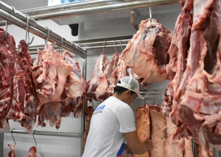 Em ano de tarifaço, MS tem recorde nas exportações de carne bovina