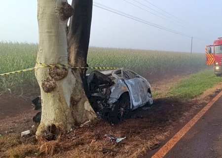 Batida em árvore deixa dois mortos carbonizados e vereador ferido em MS