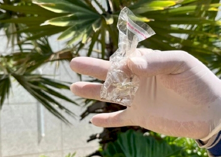 Mato Grosso do Sul registra mais de 12,8 mil casos de chikungunya e 21 mortes em 2026
