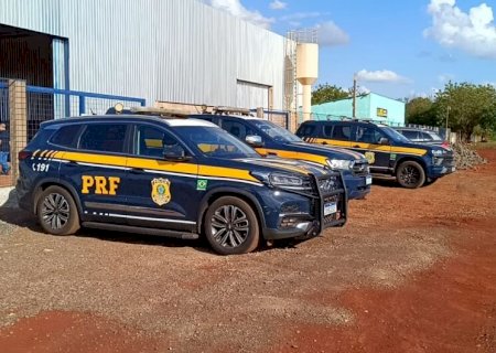Polícia estoura galpão do tráfico e apreende toneladas de maconha em Dourados
