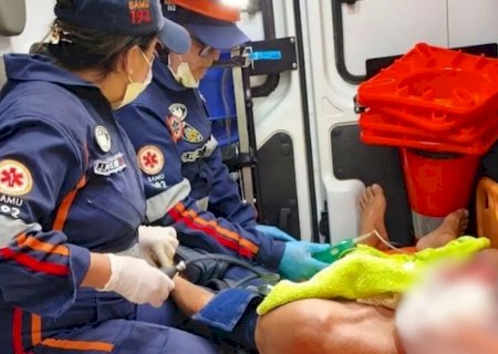 Idoso tem rosto dilacerado após ataque de cão da raça border collie