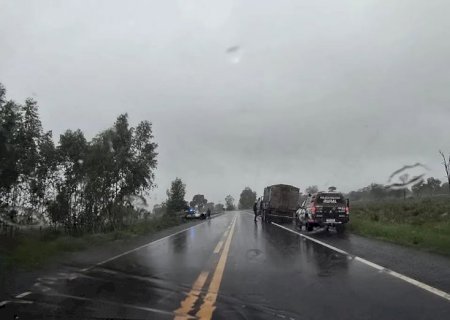 Polícia Militar Rural recupera 20 bovinos, prende 04 homens suspeitos e apreende duas armas de fogo em MS